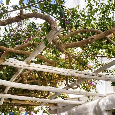 Holiday home K&k @mykonos Town Mykonos Town